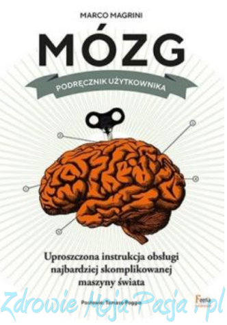 Mózg.Podręcznik użytkownika..png