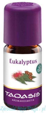 EUKALIPTUS.png