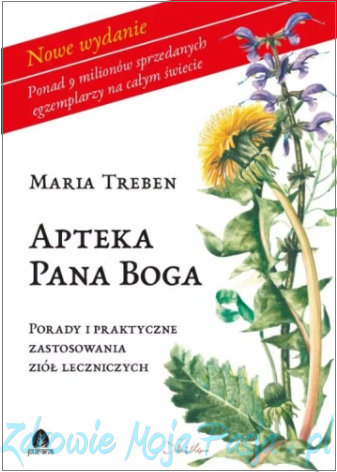 Apteka Pana Boga.png