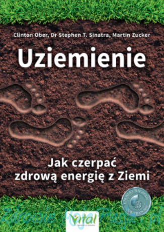 Uziemienie.png