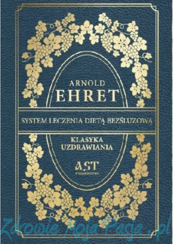 Sytem leczenia dietą bezśluzową..png