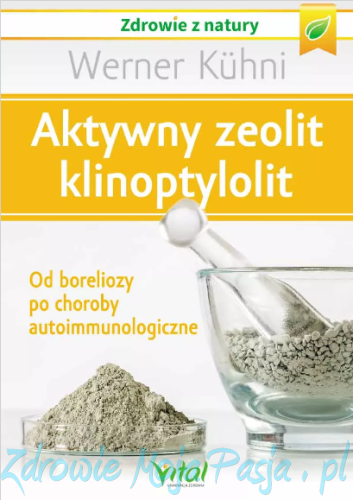 Aktywny zeolit klinoptylolit.png