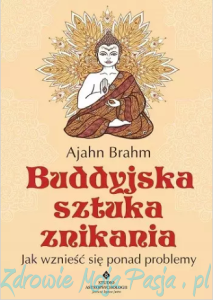 Buddyjska sztuka znikania. Jak wznieść się ponad problemy. Ajahn Brahm