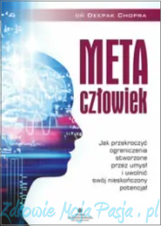 Metaczłowiek.png