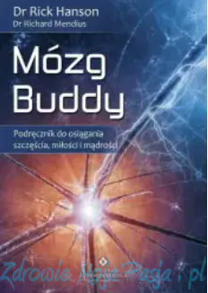 Mózg Buddy.png