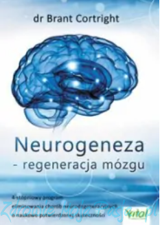 Neurogeneza..png