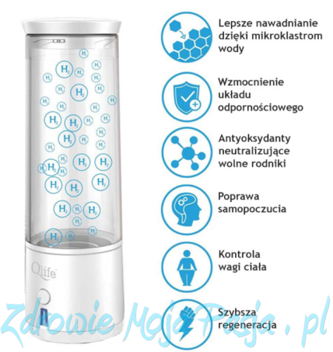 Generator wodoru właściwości.png