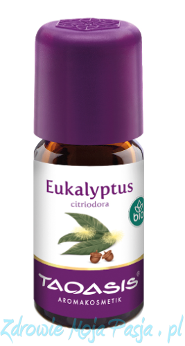 eukaliptus cytrynowy.png