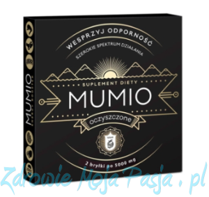 Mumio Shilajit NAMI bryłki,  2 x 5 gramów 