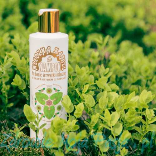 Szampon z łopianem.png