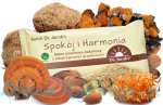 Baton Spokój i Harmonia - adaptogeny grzybowe: chaga, soplówka, reichi, kordyceps  70 g
