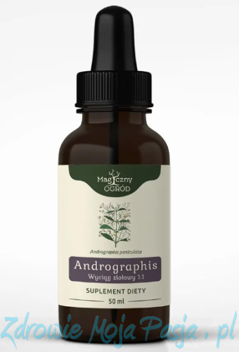 Andrographis.png