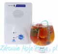Ozonator ZY-H103 ozonowanie warzyw i owoców