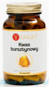 Kwas bursztynowy, 90 kaps YANGO