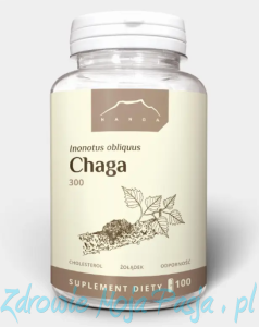 CHAGA ekstrakt 300 mg x 100 kaps NANGA