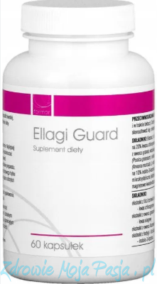 Ellagi_guard.png