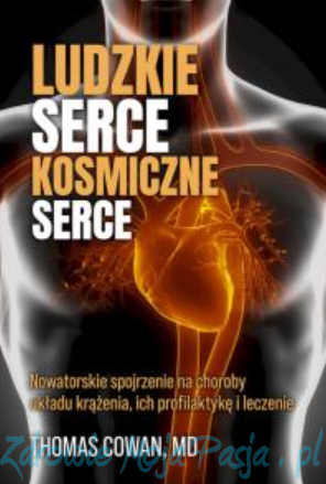 Ludzkie serce.png