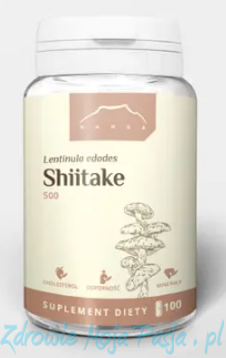 Shiitake.png