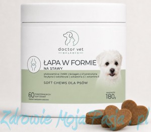 Na stawy dla psa – łapa w formie. 60szt 