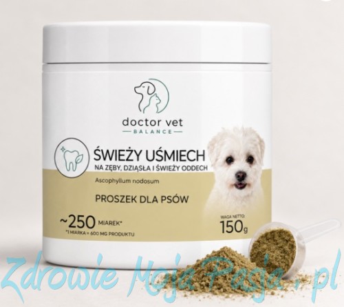 ŚWIEŻY UŚMIECH.jpg