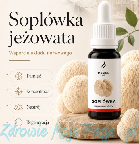 SOPLÓWKA 2.jpg