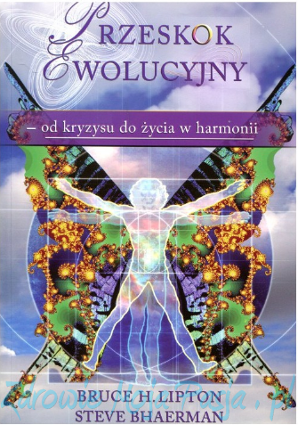 Przeskok Ewoucyjny - od kryzysu do życia w harmonii.png