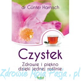 Czystek - Zdrowie i piękno dzięki jednej roślinie 